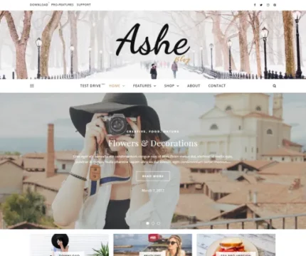 Ashe-Wp-Free-Theme