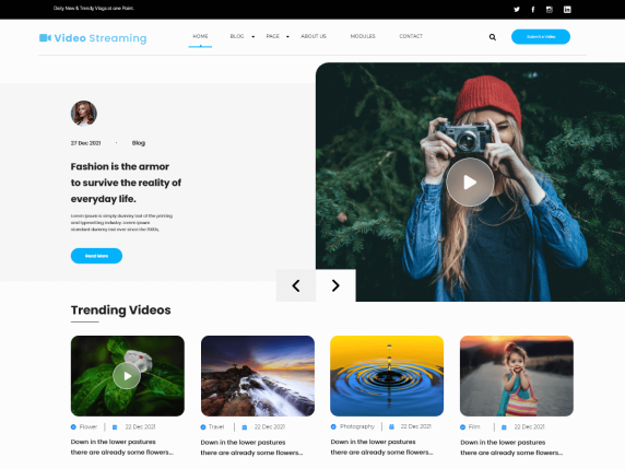 Video-Streaming-Wp-Free-theme