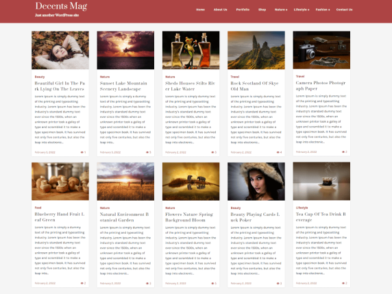 Decents-Mag-Wp-Free-Theme