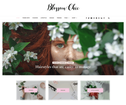 Blossom-Chic-wp-theme