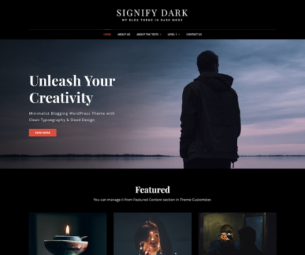 Signify-Dark-wp-free-theme