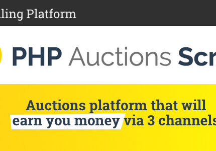590-php-auction-script.jpg