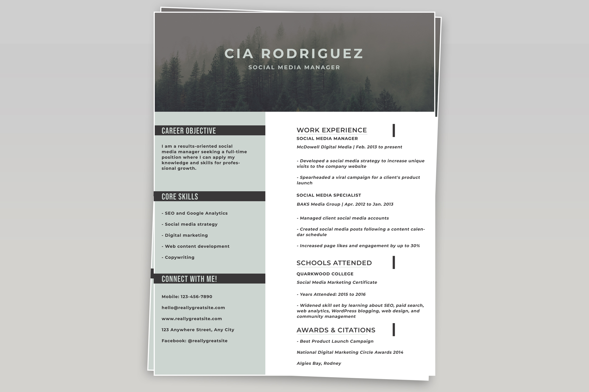 Free resume template #6