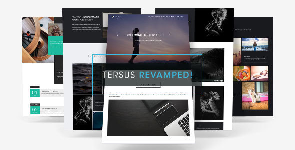 tersus-preview.__large_preview.jpg
